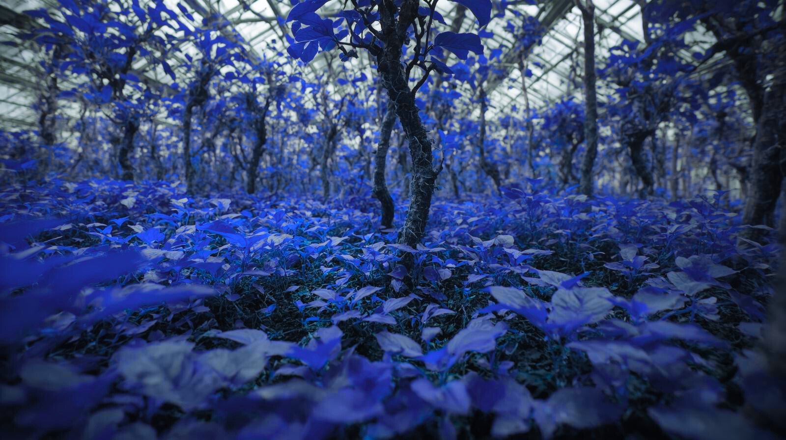 Robur Solutions Technical SEO Framework